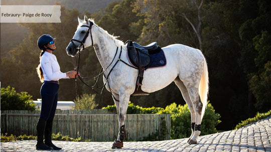  February- Paige de Rooy - Equine Culture