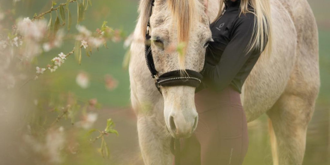  Rider in sleek, high-performance tights, designed for maximum comfort, style, and durability in the saddle.